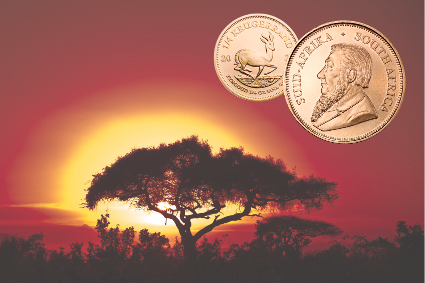 Auvesta Krugerrand Bullionmünzen aus Südafrika Nationalpark